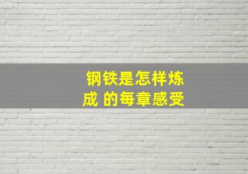 钢铁是怎样炼成 的每章感受